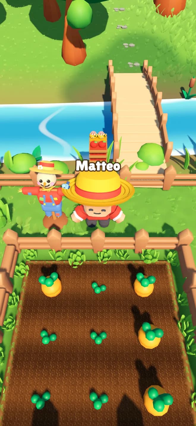 Matteo steht vor seinem Karottenfeld.